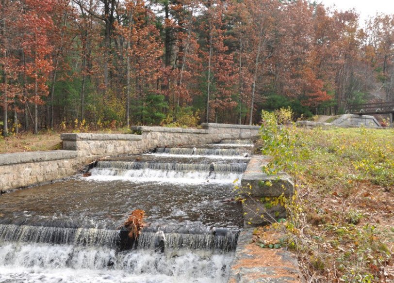 Ashland State Park, Massachusetts, USA